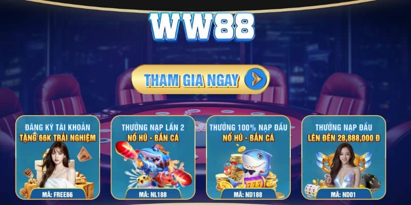 Giao diện đẹp mắt nhưng không kém phần trực quan, dễ sử dụng tại WW88